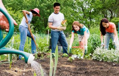 Community Garden Project for Local Neighborhood